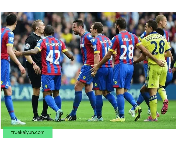 诺维奇在英冠表现稳定，快速回归英超值得关注